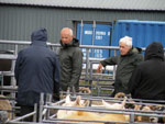 Sheep judge, Neil MacPherson, Benbecula (left)