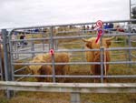 Carloway 2004