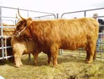 Carloway 2005