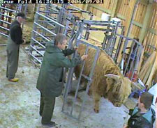 webcam image